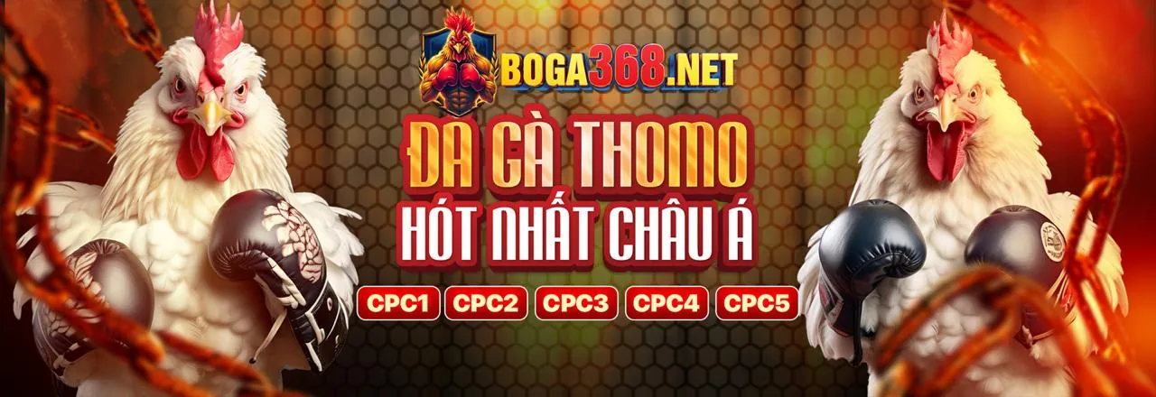 Đá Gà Trực Tuyến hi823 trang chủ chính thức